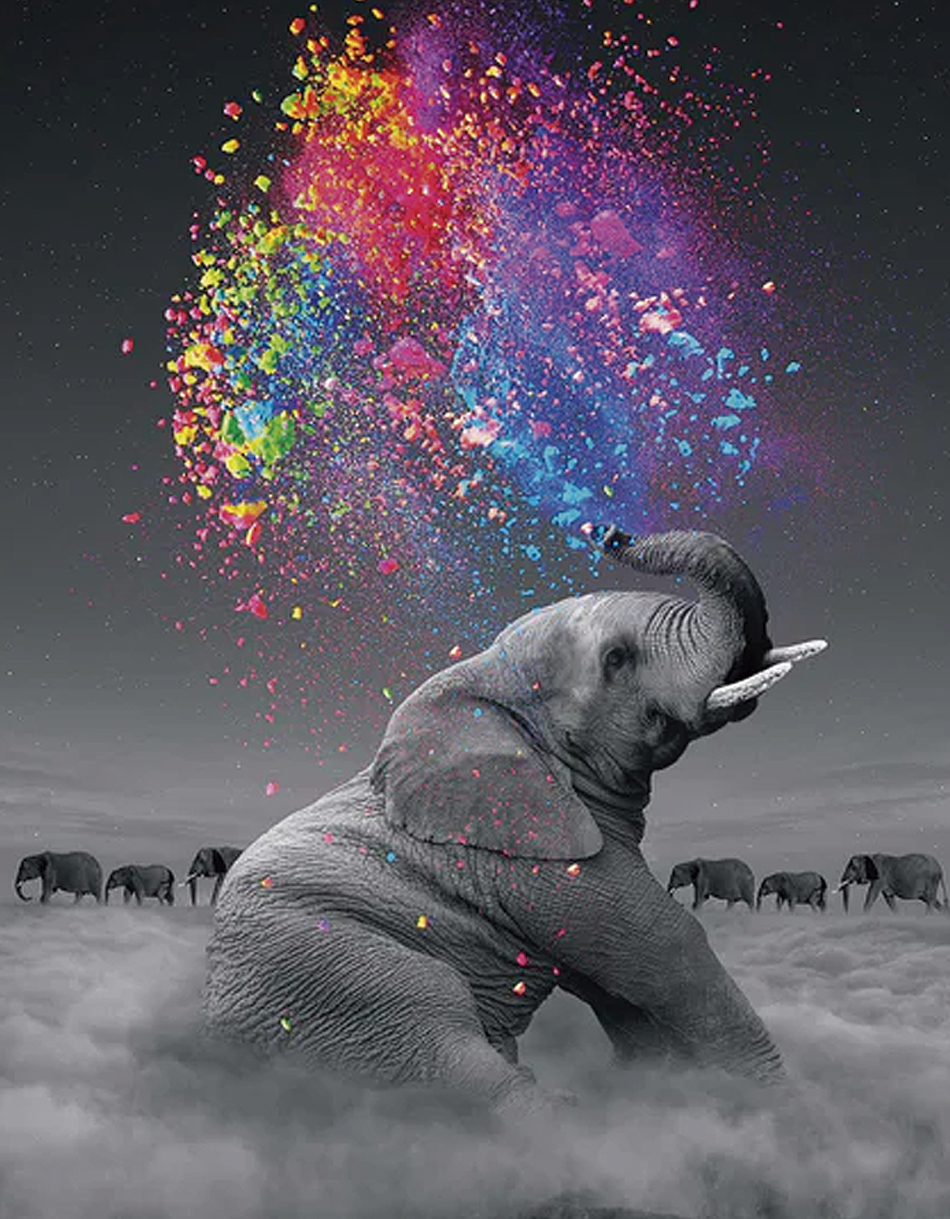 Elefante