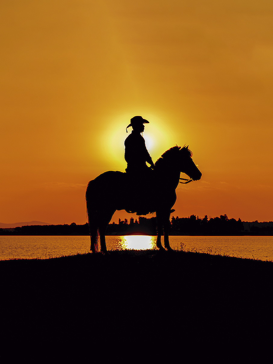Silueta de un llanero a caballo contra un cielo anaranjado al atardecer. Ideal para dar un toque cálido y evocador a tus espacios.