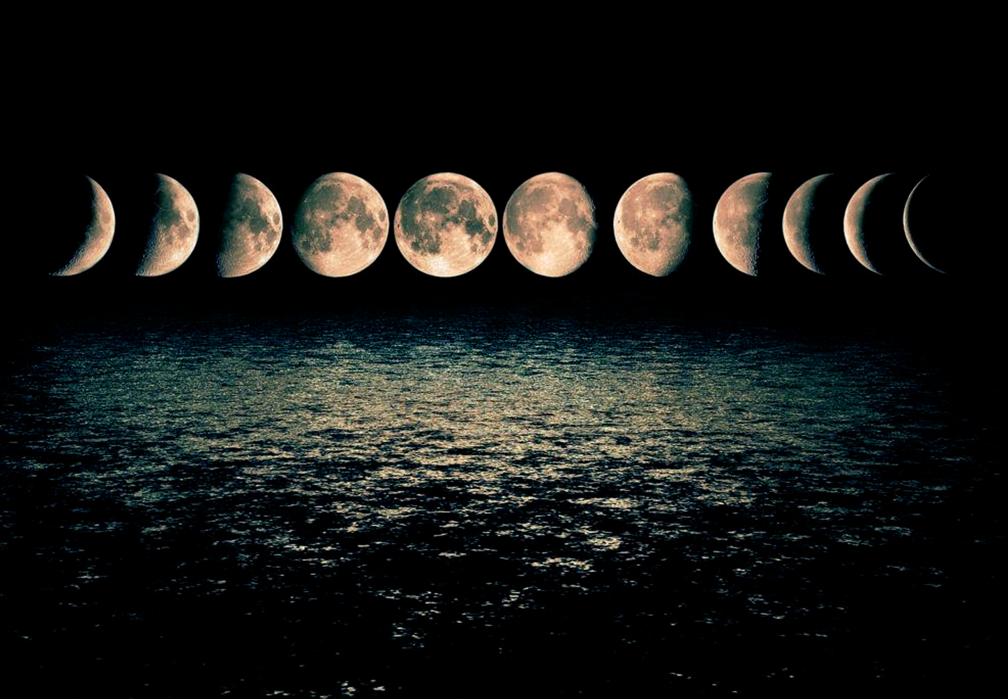 Fases de la luna